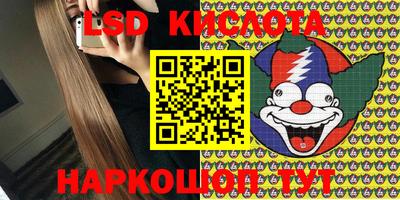 прущие грибы Будённовск