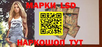прущие грибы Будённовск