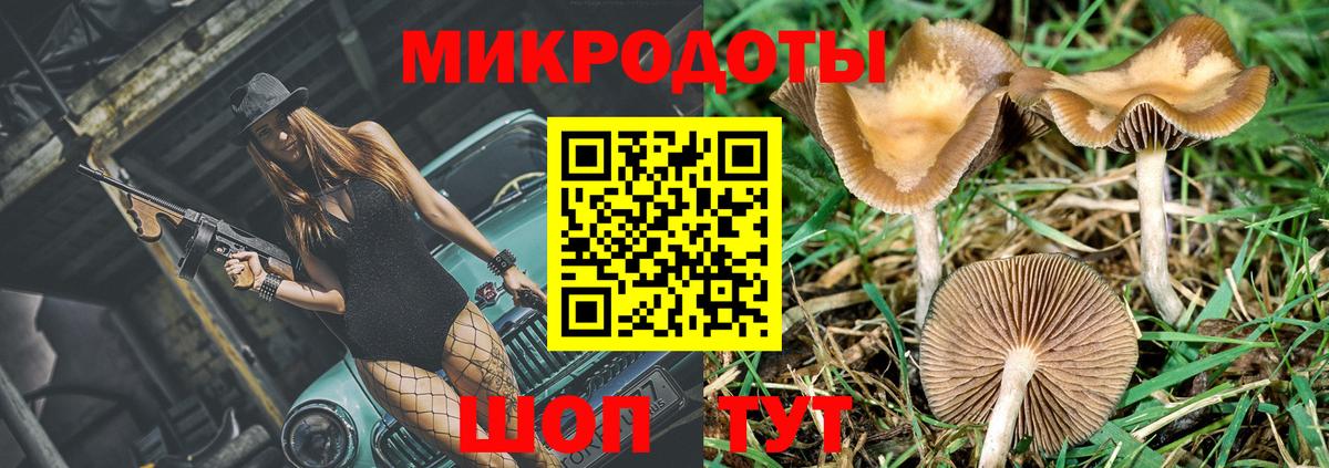 Галлюциногенные грибы Magic Shrooms  Вход с VPN  Курчатов 